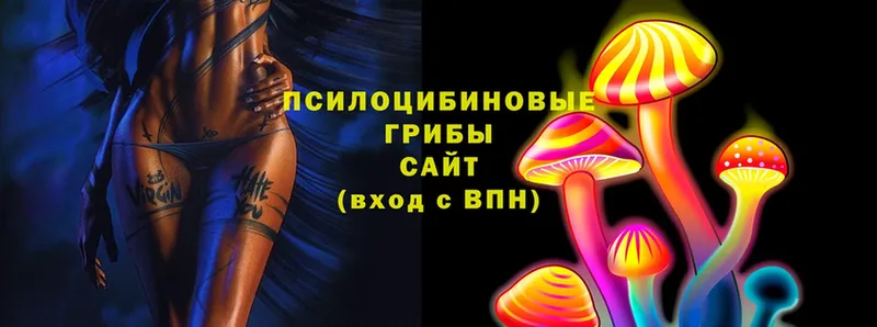 как найти закладки  Белогорск  Галлюциногенные грибы Psilocybe 